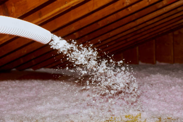 Types of Insulation We Offer in Morrisville, NC