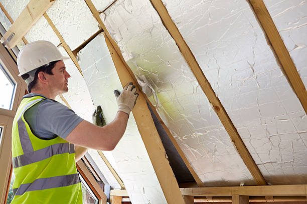 Best Eco-Friendly Insulation in Morrisville, NC